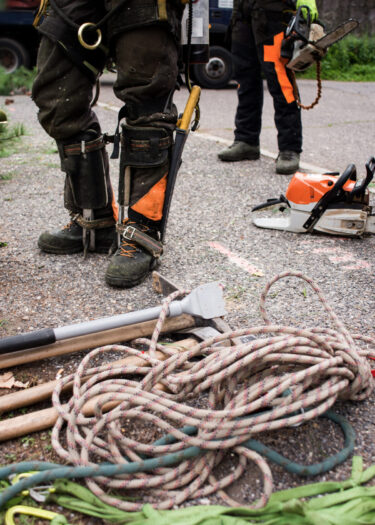 Emergency Tree Service